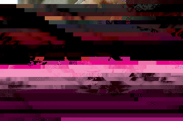 glitch image