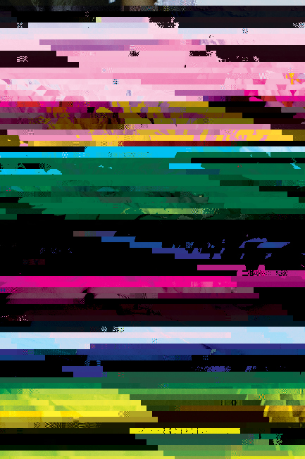 glitch image
